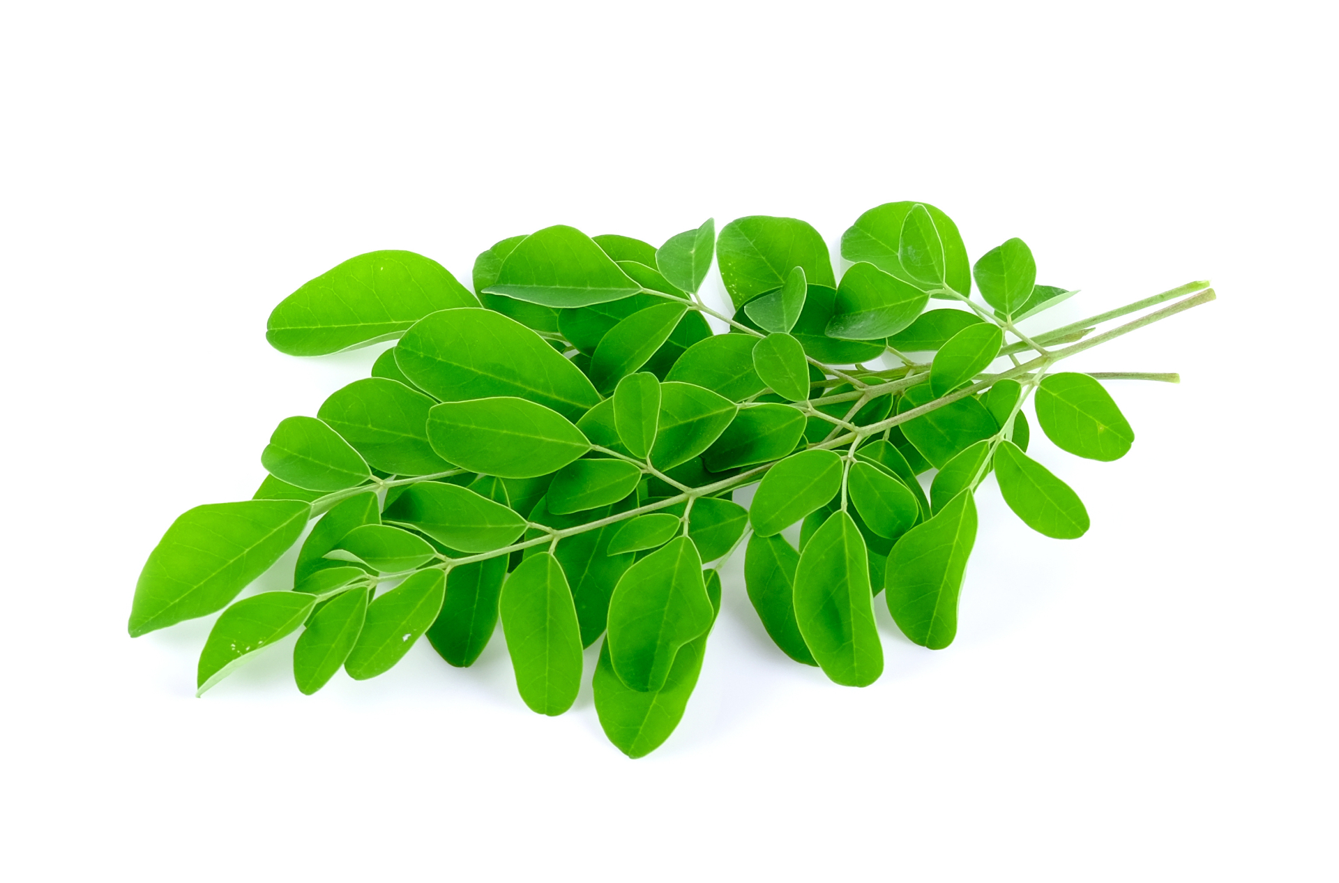 Body Oil — application reference imagery